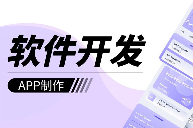 软件定制开发选购指南